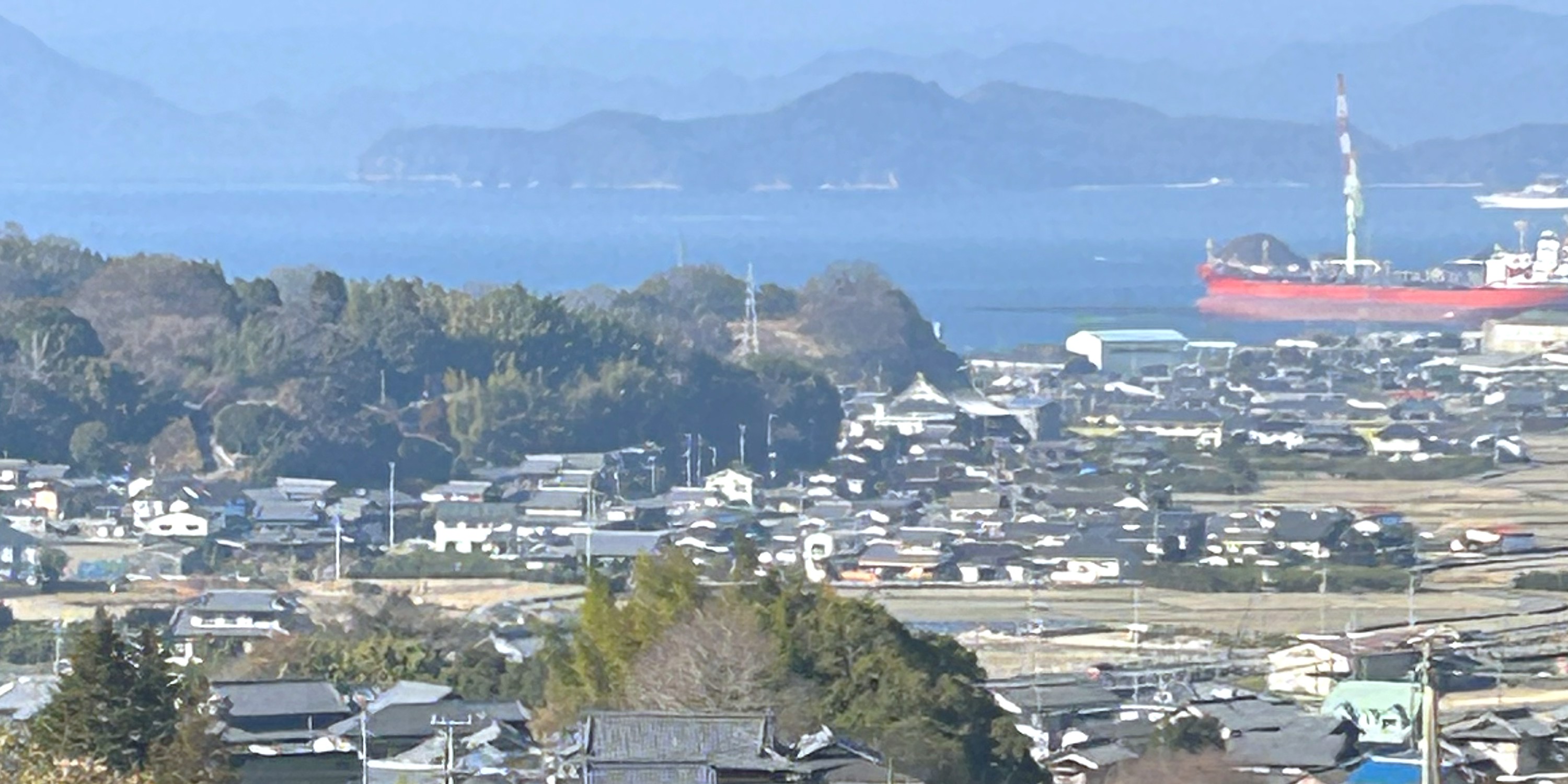 果樹園の遠景